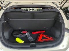 BYD Dolphin Glory Edition 302km Vitality Version - photo 18