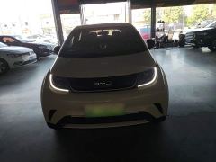 BYD Dolphin Glory Edition 302km Vitality Version - photo 2