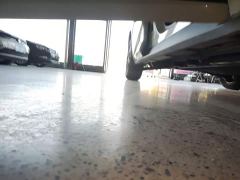 BYD Dolphin Glory Edition 302km Vitality Version - photo 20