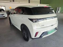 BYD Dolphin Glory Edition 302km Vitality Version - photo 4