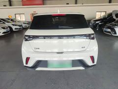 BYD Dolphin Glory Edition 302km Vitality Version - photo 5