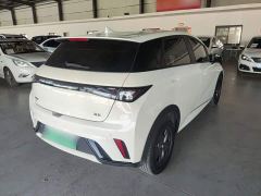BYD Dolphin Glory Edition 302km Vitality Version - photo 6