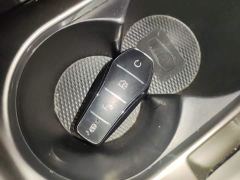 BYD Dolphin Glory Edition 302km Vitality Version - photo 8