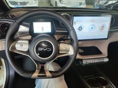 BYD Dolphin Glory Edition 302km Vitality Version - photo 9