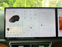 Li Auto L8 Pro - ფოტო 11