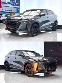 Oshan X5 PLUS 1.5T Joy Edition - ფოტო 9