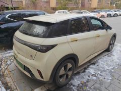 BYD Dolphin 420km Free Version - photo 2