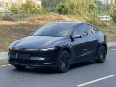 Tesla Model Y 593km Rear-Wheel Drive Edition - фото 1
