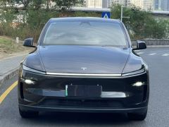 Tesla Model Y 593km Rear-Wheel Drive Edition - фото 2