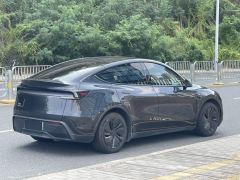 Tesla Model Y 593km Rear-Wheel Drive Edition - фото 4