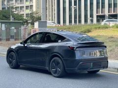 Tesla Model Y 593km Rear-Wheel Drive Edition - фото 5