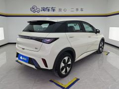 BYD Dolphin 420km Free Version - ფოტო 2