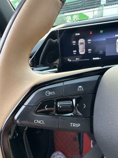 Geely Galaxy L6 1.5T 125km PLUS - photo 20