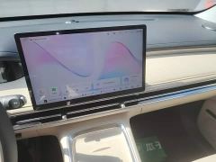 Wuling Bingguo S 325km Deluxe Edition - ფოტო 12