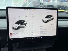 Tesla Model Y Rear-Wheel Drive - ფოტო 14