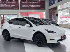 Tesla Model Y Rear-Wheel Drive - ფოტო 3