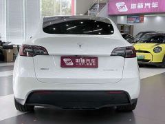 Tesla Model Y Rear-Wheel Drive - ფოტო 8