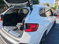 BMW X1 sDrive25Li X Design Package - photo 3