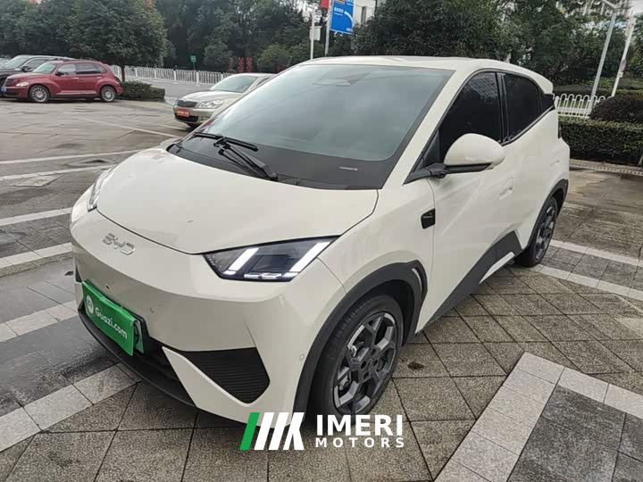 BYD Seagull Smart Driving Edition 305km Freedom Edition