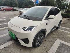 BYD Seagull Smart Driving Edition 305km Freedom Edition - ფოტო 1