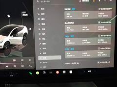 Tesla Model Y Rear-Wheel Drive - фото 11
