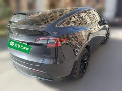 Tesla Model Y Rear-Wheel Drive - фото 4