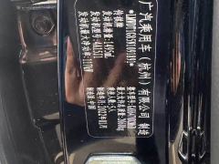 GAC Aion GS4 PLUS 270T Automatic Starlight Edition - photo 7