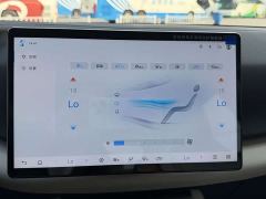 BYD Yuan UP Smart Drive 401KM Vitality Edition - ფოტო 13