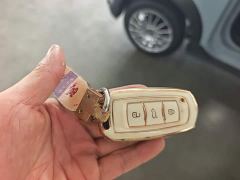Geely Panda 200km Panda Kart - photo 10