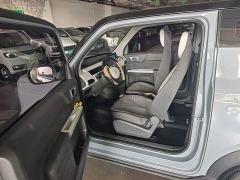 Geely Panda 200km Panda Kart - photo 18