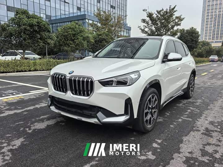 BMW X1 sDrive25Li X Design Package - car from China