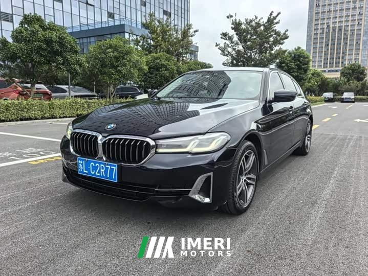 BMW 5 Series Facelift 530Li xDrive Luxury Package - автомобиль из Китая