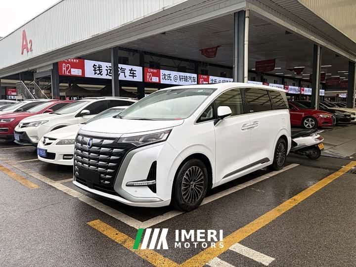 Denza D9 DM-i 970 AWD Flagship - car from China