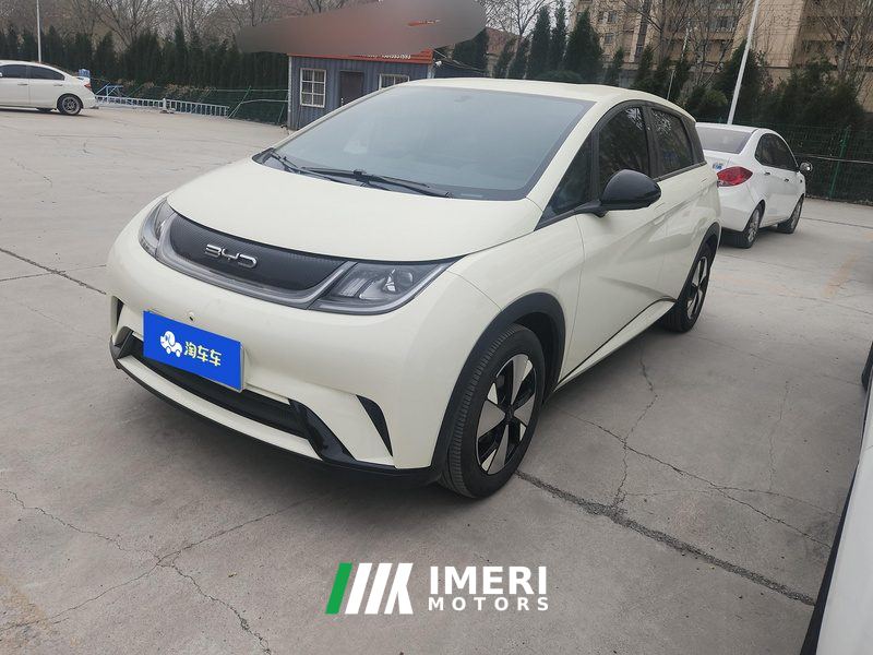 BYD Dolphin 420km Free Version