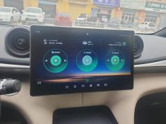 BYD Dolphin 420km Free Version - photo 17