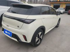 BYD Dolphin 420km Free Version - photo 2