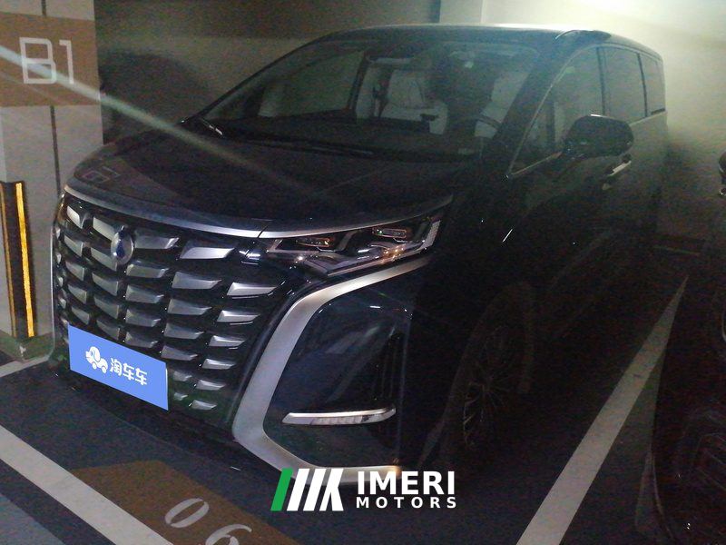 Denza D9 DM-i 1.5T 180km AWD Version 7