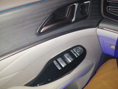 Denza D9 DM-i 1.5T 180km AWD Version 7 - ფოტო 12