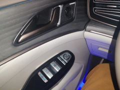 Denza D9 DM-i 1.5T 180km AWD Version 7 - ფოტო 13