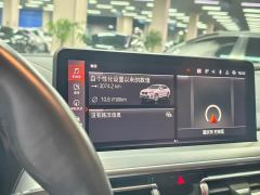 BMW X4 xDrive 30i M Sport Package - ფოტო 14