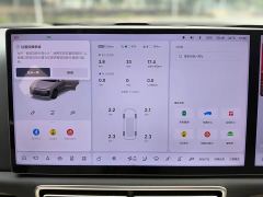 Li Auto L6 Pro - ფოტო 9