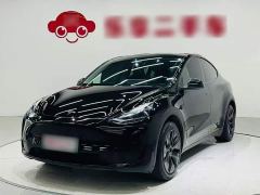 Tesla Model Y Rear-Wheel Drive - photo 1