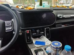 Haval Great Wall Big Dog Great Wall Dog 1.5T 2WD Edge Pastoral Edition - photo 17