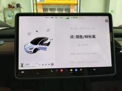 Tesla Model 3 556km Rear-Wheel Drive Edition - ფოტო 4