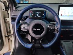 BYD Seagull 305km Free Version - ფოტო 18