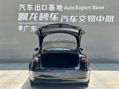 Tesla Model 3 Rear-Wheel Drive - фото 14