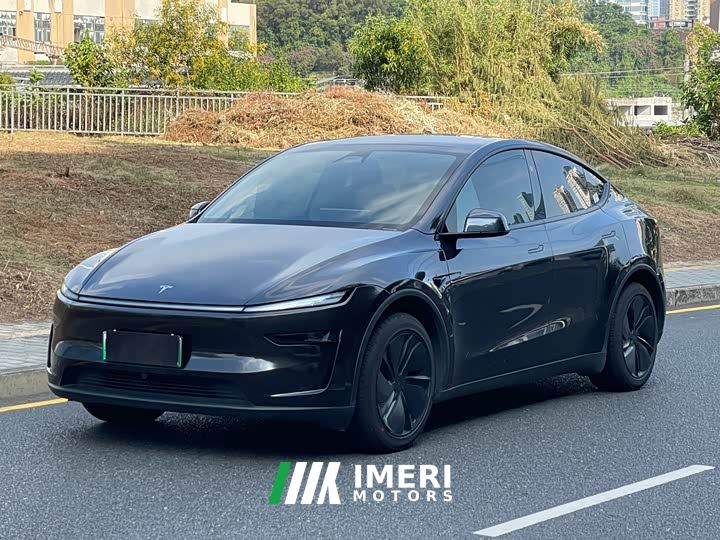 Tesla Model Y Rear-Wheel Drive