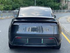 Tesla Model Y Rear-Wheel Drive - ფოტო 20
