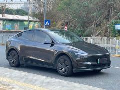 Tesla Model Y Rear-Wheel Drive - ფოტო 3