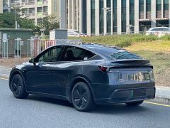 Tesla Model Y Rear-Wheel Drive - ფოტო 5